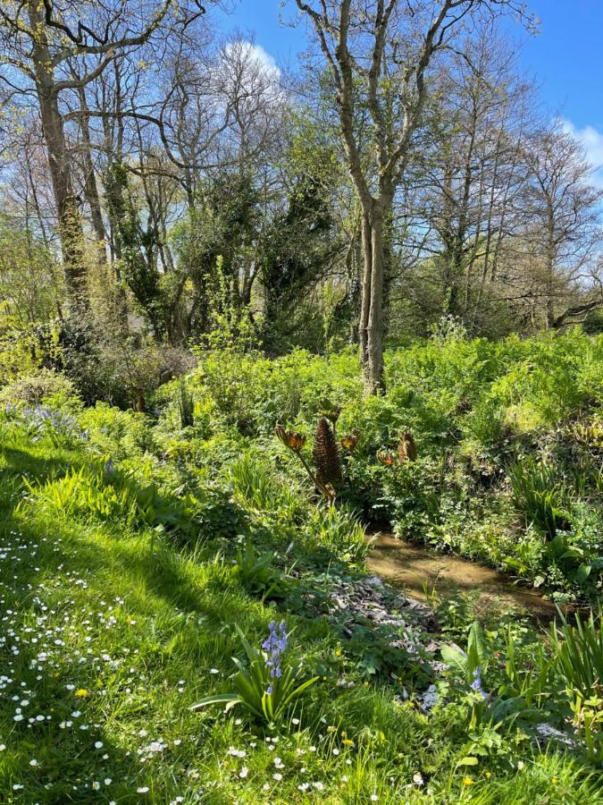 Beech Hut - A Streamside Family Escape Near Salcombe And Beaches South Milton Exterior foto